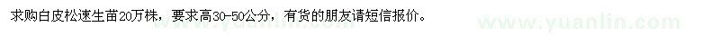 求購(gòu)白皮松速生苗20萬(wàn)株