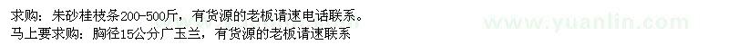 求購(gòu)朱砂桂枝條、廣玉蘭 