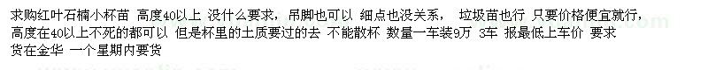 求購高度40以上紅葉石楠小杯苗 