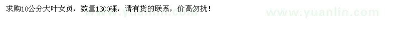 求購10公分大葉女貞