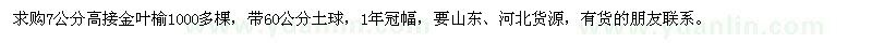 求購7公分高接金葉榆