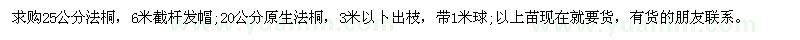 求購25公分法桐 20公分原生法桐
