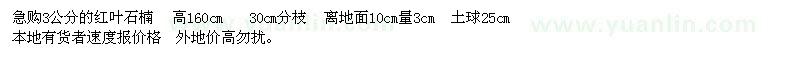 求購3公分紅葉石楠