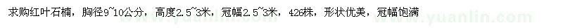 求購胸徑9~10公分紅葉石楠