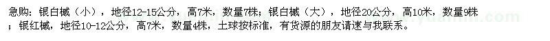 求購銀白槭