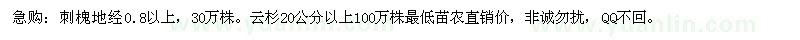 求購刺槐 
