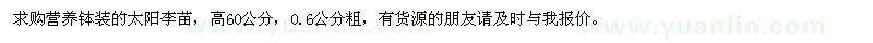 求購營養(yǎng)缽裝的太陽李苗