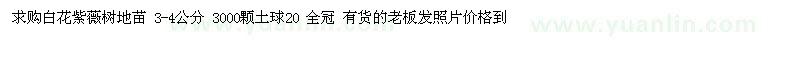 求購白花紫薇樹地苗 3-4公分
