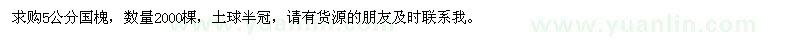 求購5公分國槐