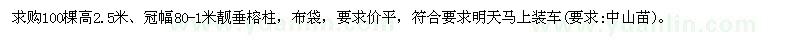 求購高2.5米靚垂榕柱100棵