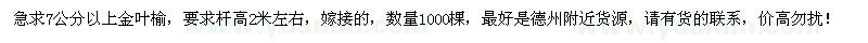 求購(gòu)7公分以上金葉榆