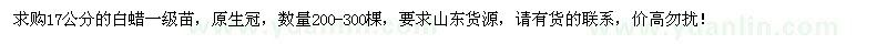 求購17公分白蠟一級苗