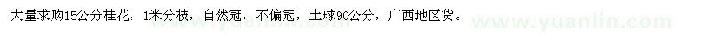 求購15公分桂花