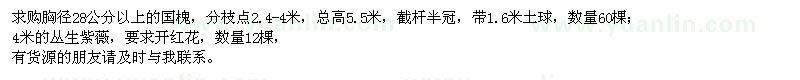 求購(gòu)胸徑28公分以上的國(guó)槐,4米的叢生紫薇
