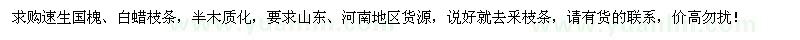 求購(gòu)速生國(guó)槐、白蠟枝條