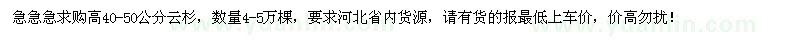 求購(gòu)高40-50公分云杉