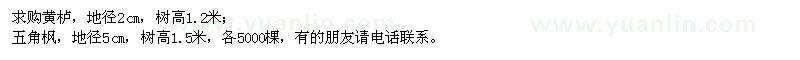 求購黃櫨,五角楓