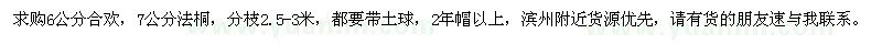 求購(gòu)6公分的合歡、7公分的法桐