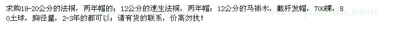 求購(gòu)18-20公分法桐、12公分速生法桐、馬褂木