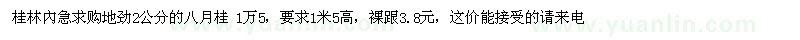 求購八月桂 