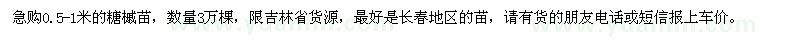 求購0.5-1米的糖槭苗