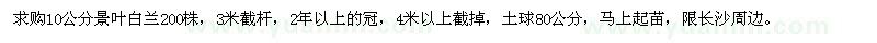 求購10公分景葉白蘭