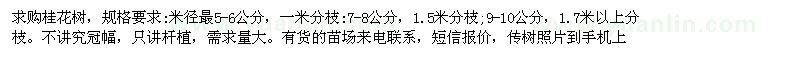 求購桂花樹米徑5-6公分、7-8公分、9-10公分