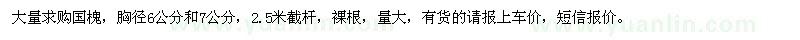 求購(gòu)胸徑6公分、7公分的國(guó)槐