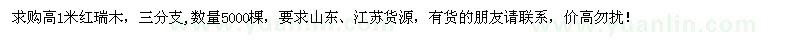求購高1米紅瑞木