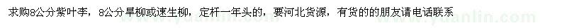 求購8公分紫葉李，8公分旱柳或速生柳