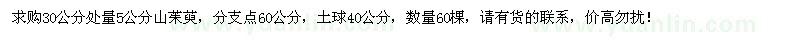 求購30公分處量5公分山茱萸