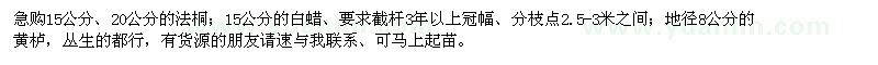 求購法桐、白蠟、黃櫨