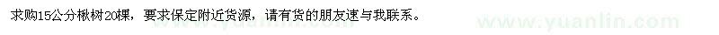 求購15公分楸樹