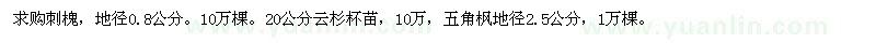 求購(gòu)刺槐 云杉杯苗，五角楓 