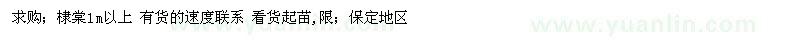 求購棣棠1m以上