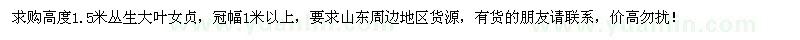 求購高1.5米叢生大葉女貞