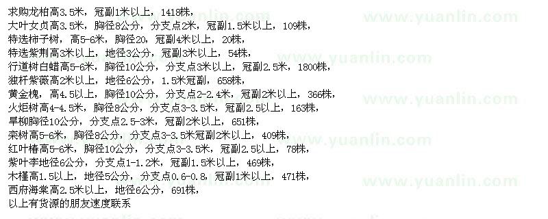 求購龍柏、大葉女貞、柿子樹、紫荊、白蠟、紫薇、黃金槐、火炬樹、旱柳 