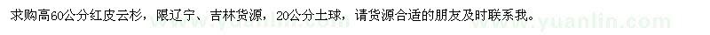 求購高60公分紅皮云杉
