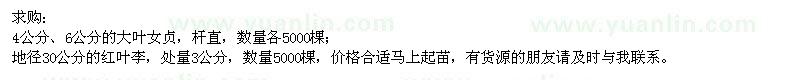 求購大葉女貞,紅葉李