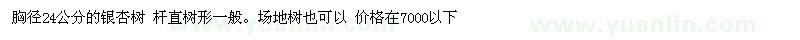 求購胸徑24的銀杏樹 （限邳郯地區(qū)）