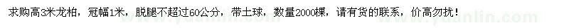 求購高3米龍柏