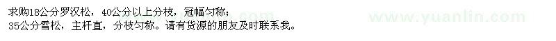 求購18公分羅漢松、35公分雪松