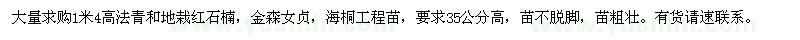 求購(gòu)法青和地栽紅葉石楠、金森女貞、海桐工程苗