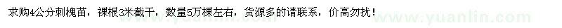 求購4公分刺槐苗