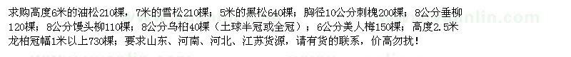 求購油松、雪松、黑松、刺槐、垂柳等苗木