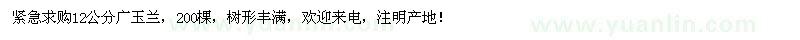 求購12公分廣玉蘭