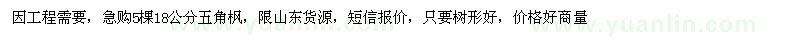 求購18公分五角楓 