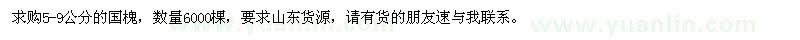 求購5-9公分國槐