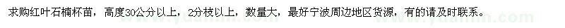 求購(gòu)高30公分以上紅葉石楠杯苗