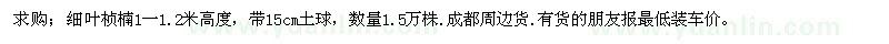 求購細(xì)葉楨楠1一1.2米高度